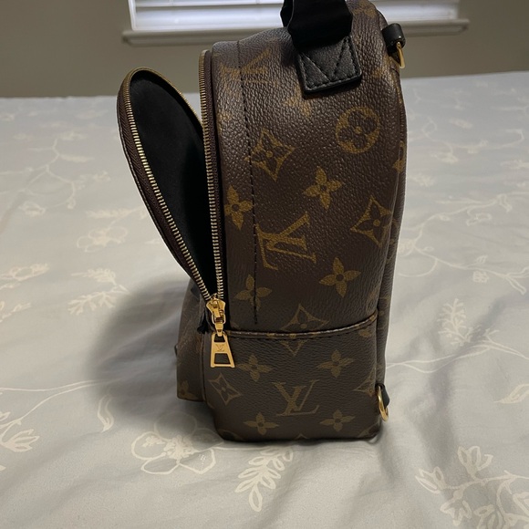 Louis Vuitton Palm Spring Mini bag - Picture 4 of 7
